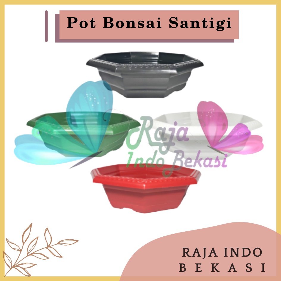 Pot Bonsai Santigi 30 Warna Warni Bonsai Segi 8 By Garden Of Love Pot Bonsai Kotak Ceper Kelapa