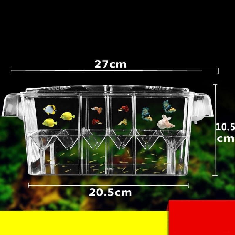 Aquarium Box Acrylic  Breeding Box Internal XL Guppy Molly Fish Wadah Karantina Isolation Ikan