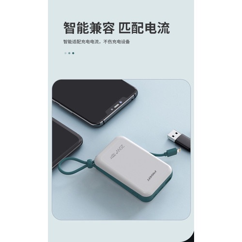 Powerbank Pisen Quick Power Bank 10000mah output Lightning - LS-DY13