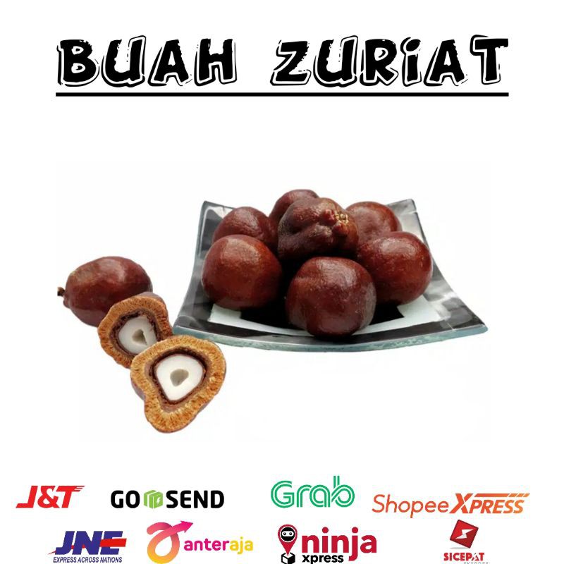 

Buah Zuriat Madinah - buah Zuriyat doum utuh di belah promil