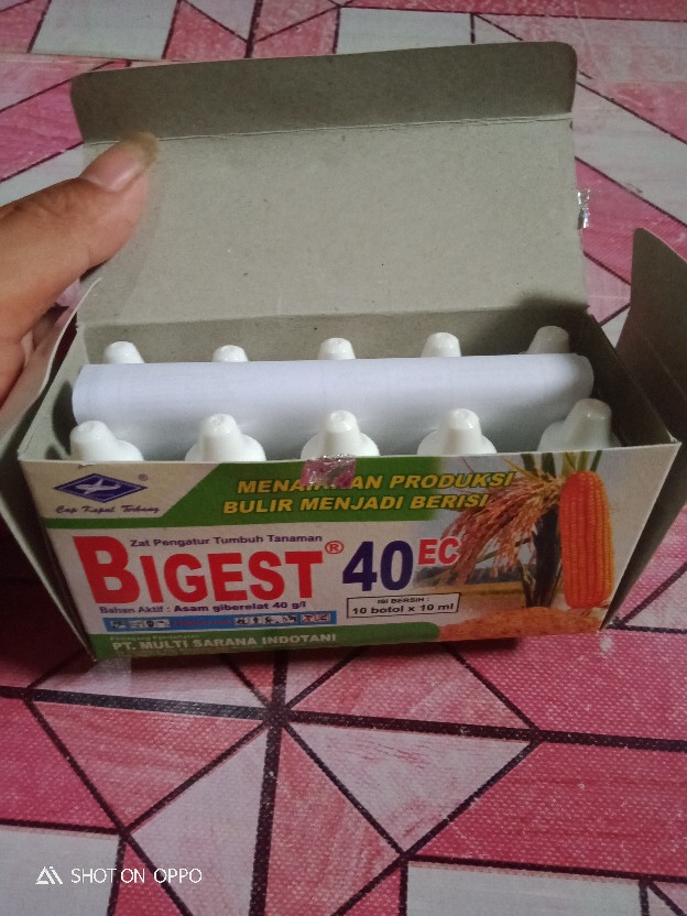 Bigest 40 Ec 10 Ml Zat Pengatur Tumbuh