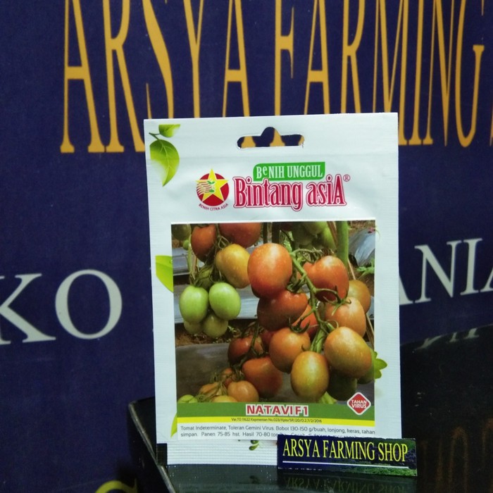 Promo Benih Tomat NATAVI F1 0,5 gr Bintang Asia Terlaris