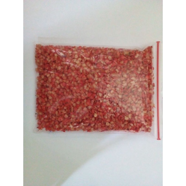 Bibit Cabe Lokal Joker