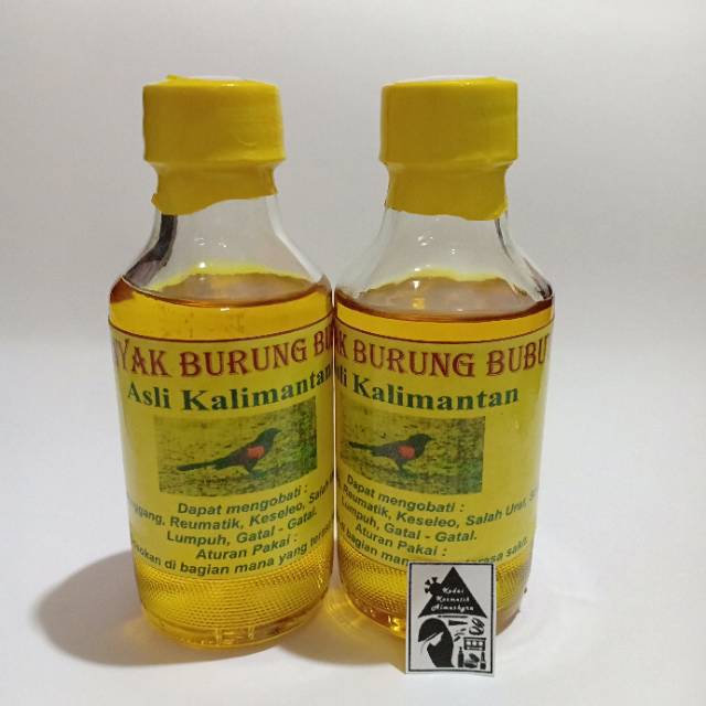 Minyak Burung Bubut Butbut Asli Kalimantan Shopee Indonesia