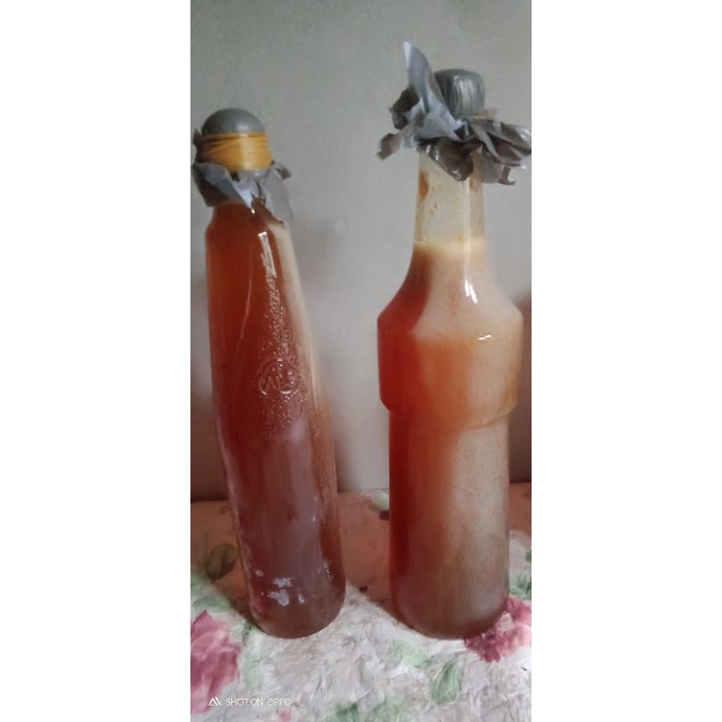 

madu hutan asli