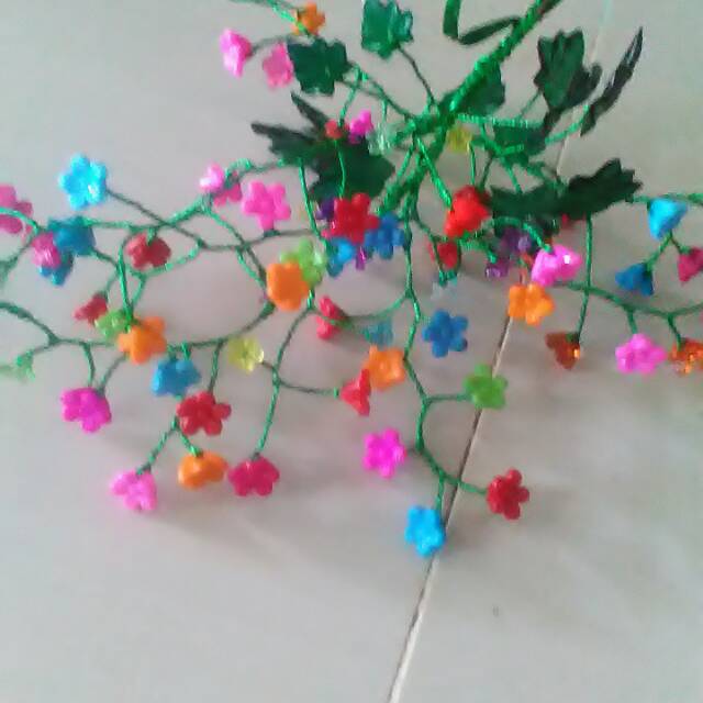 

Biji kelopak sakura
