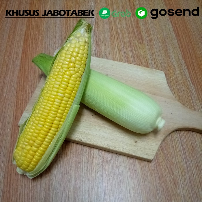 

jagung manis sayuran segar 3 pcs