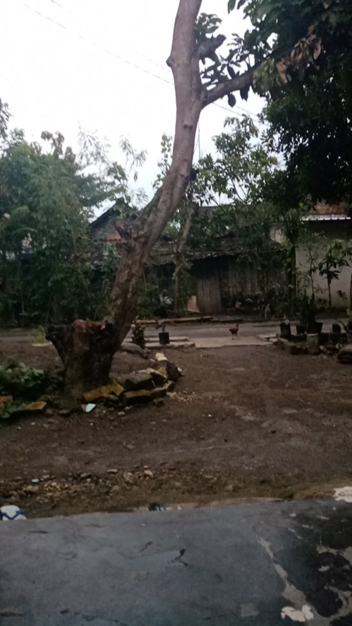 Kaligrafi Sticker Lembaran  Yasiin, Syahadat Dan Ayat Kursi Ukuran 18x28 Cm