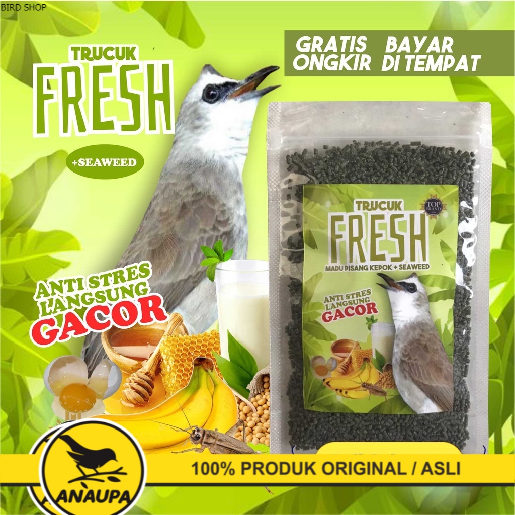 VOER GACOR TRUCUK PISANG untuk pakan burung trucukan