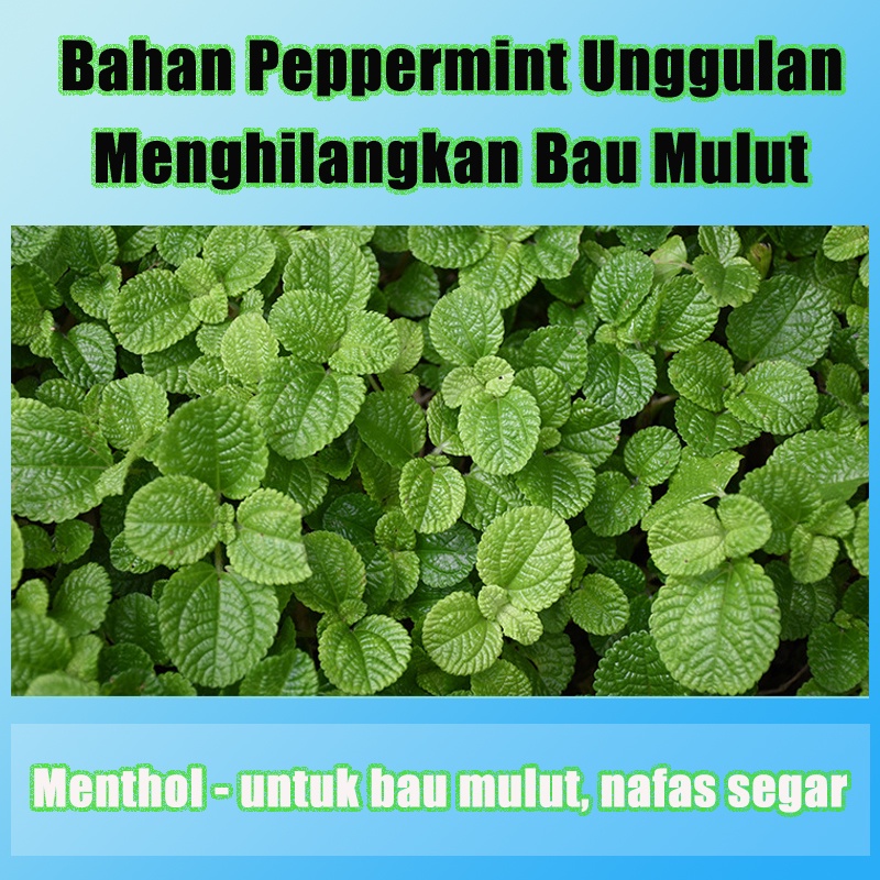 【Barang Spot】Emprotan Penyegar Mulut Menghilangkan Bau Mulut Nafas Ssegar Tahan Lama Dan Portabel Perawatan Kebersihan Mulut Penghilang Bau Mulut Obat Bbau Mulut Permanen Parfum Mulut Pengharum Mulut Spray Mulut Kumur Mulut