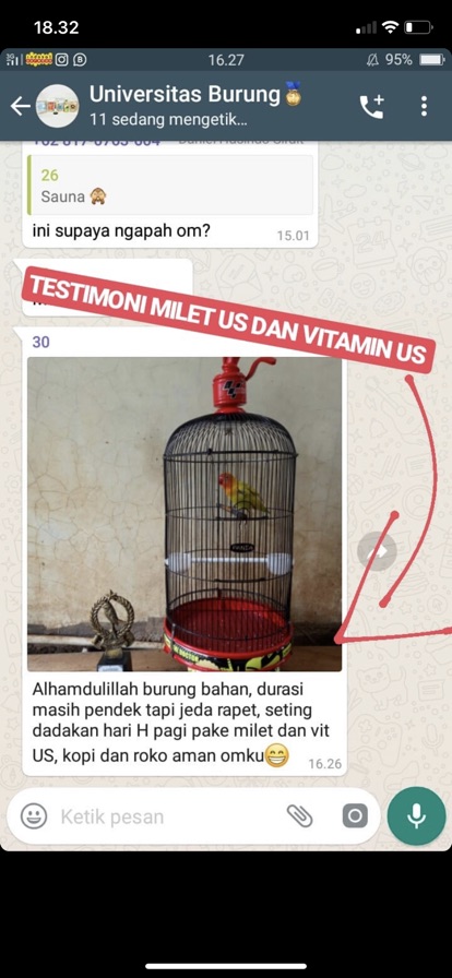 Vitamin US original obat vitamin burung kicau lovebird murai kacer cucak ijo cendet