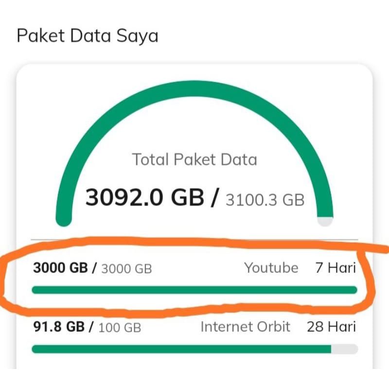 unlimited youtube tiktok fb instagram telkomsel orbit 3000gb