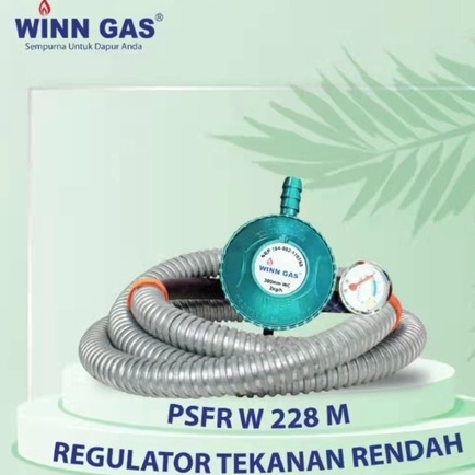 WINN GAS PAKET REGULATOR FLEXIBLE W 228 M