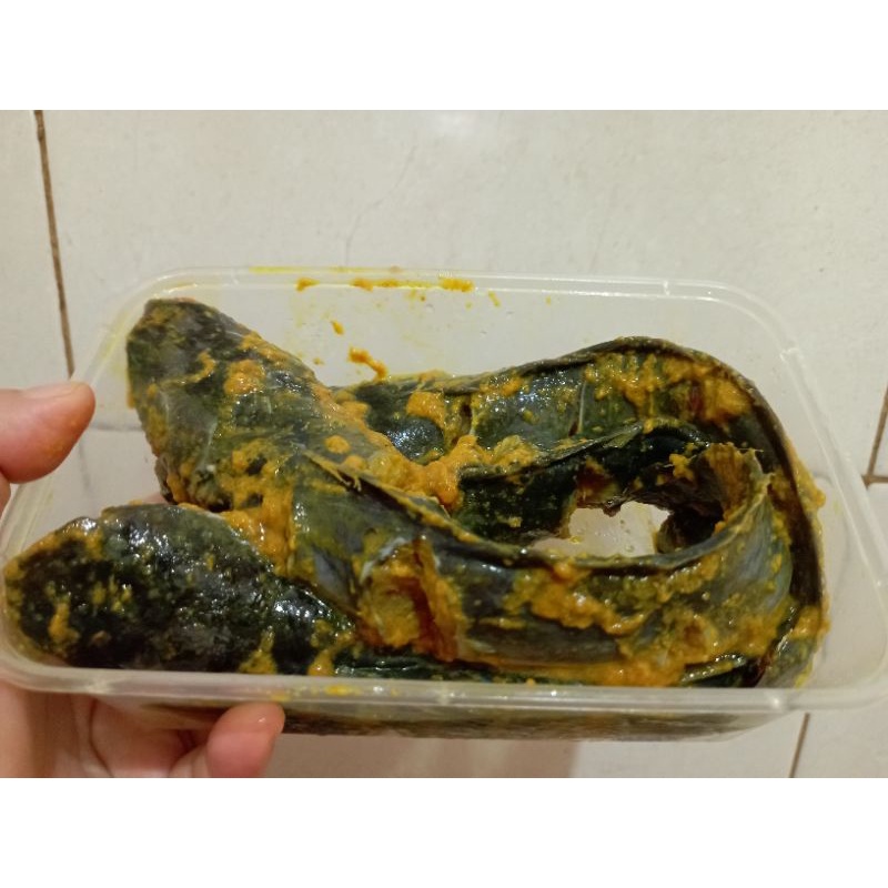 

ikan lele ungkep bumbu kuning
