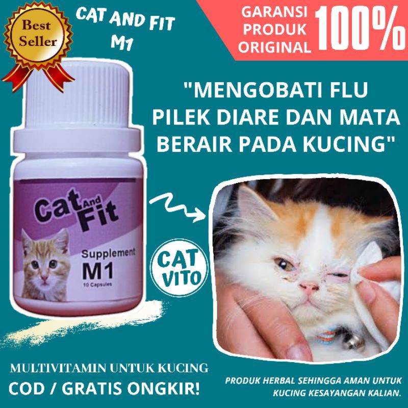 OBAT KUCING FLU PILEK MATA BERAIR DAN DIARE CAT AND FIT M1