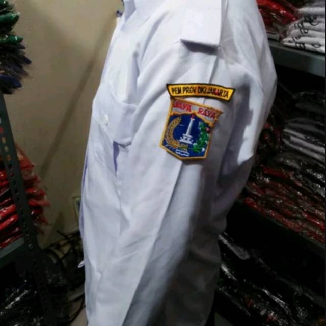 Pemuda putih Pemda DKI PNS