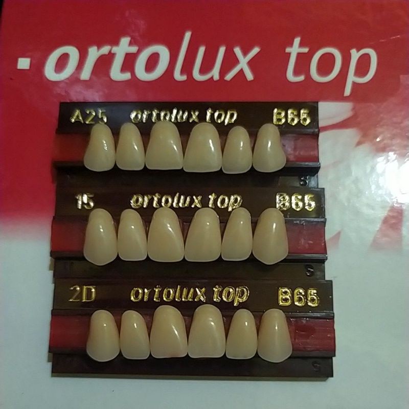 ortolux depan atas gigi palsu akrilik warna 65