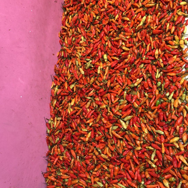

Rawit Merah 250 gram