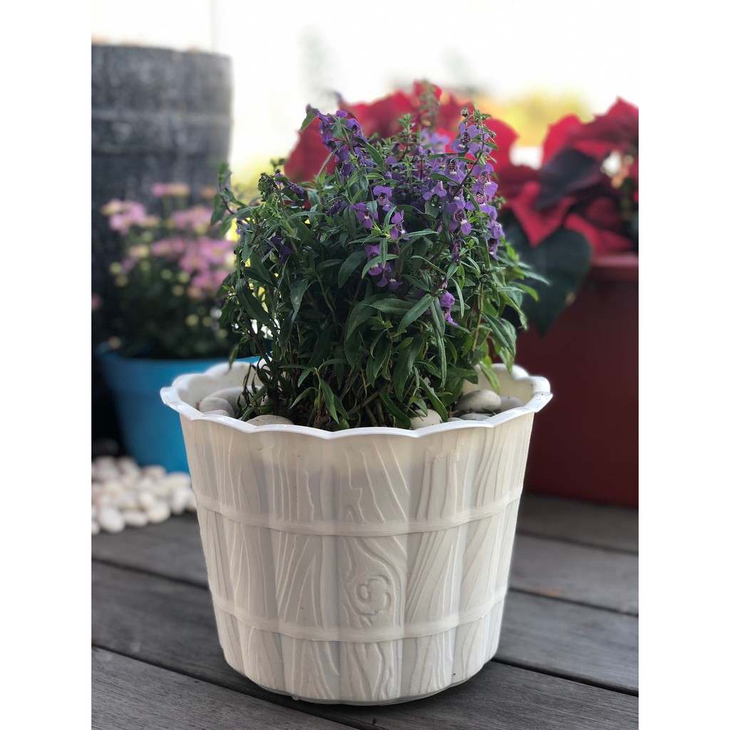Pot Bunga plastik motif kayu 25 cm putih
