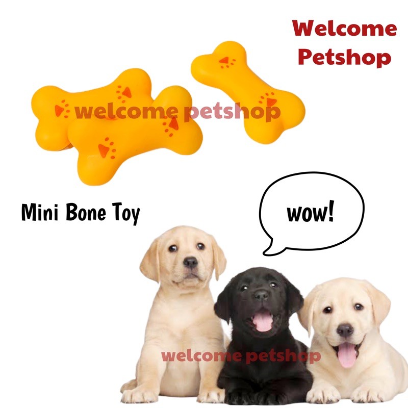 Mini Bone Toy / Mainan Anjing / Gigitan Anjing / Dog Toy