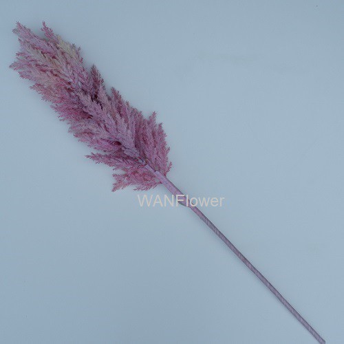 WANFLOWER Bunga Pampas 95 * PINK (perTangkai)