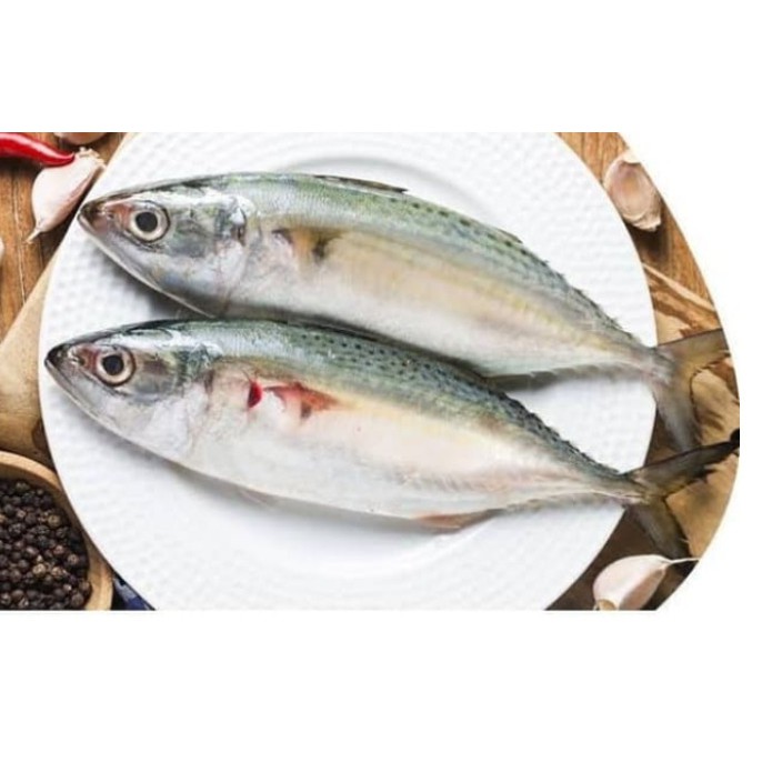 

Sayur Segar Ikan Kembung 500 gr