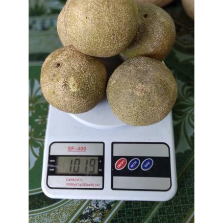 

[PROMO PHD80] Buah kawista/kawis ± 1kg Ready Stok