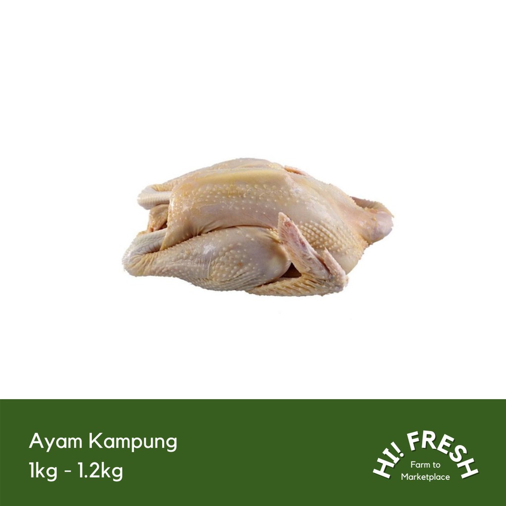 

Ayam Kampung 1kg - 1.2kg