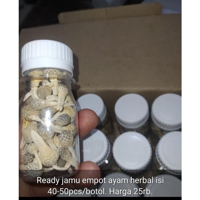 

Mpot ayam putih herbal