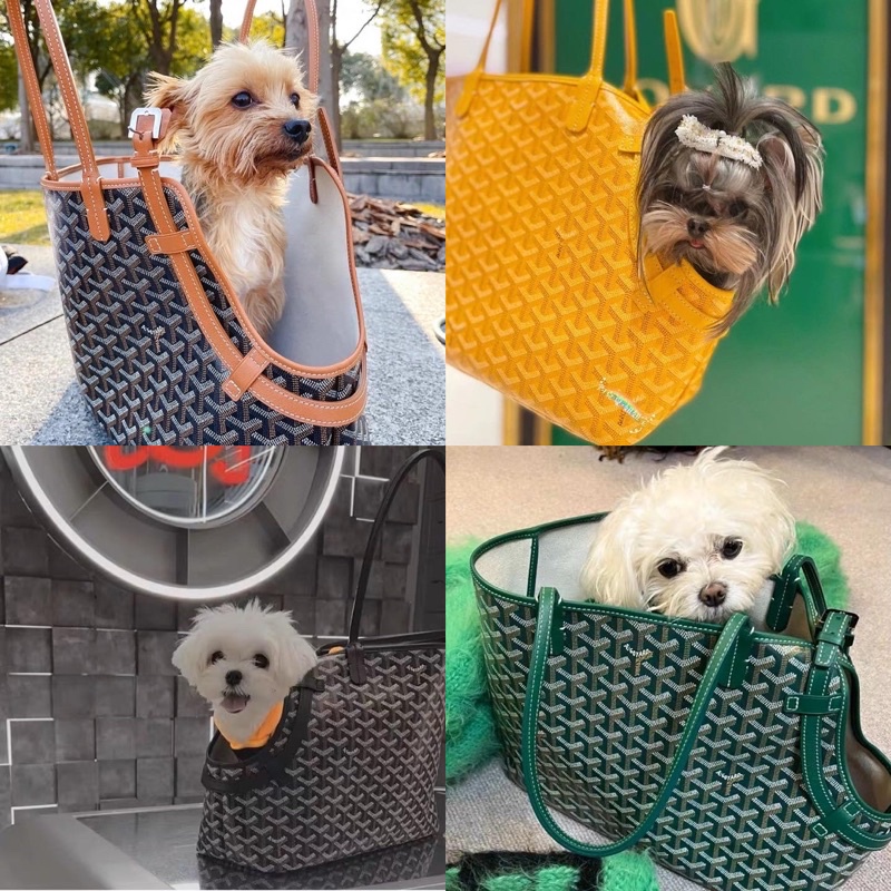 Pet bag cargo doggoyard