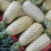 

nanas palembang kupas gak buang mata fresh per 1 pcs