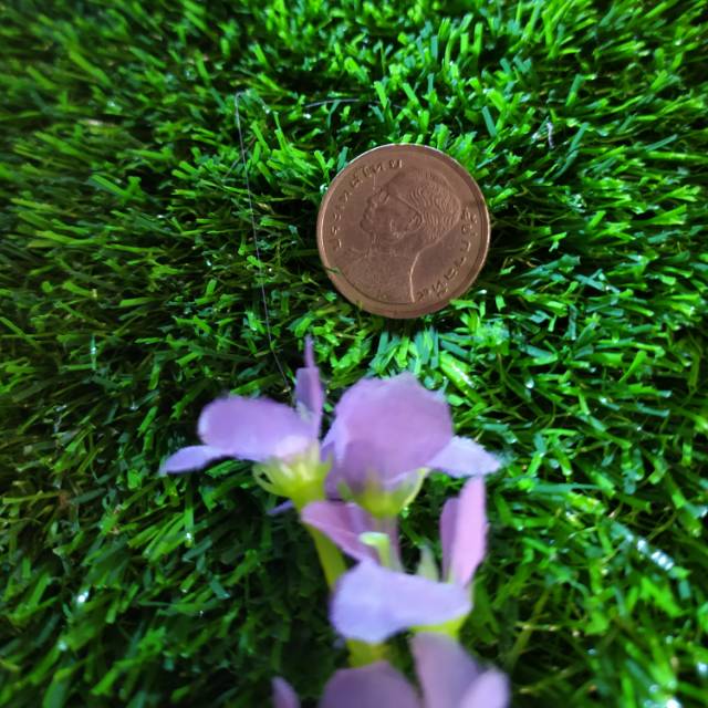 Uang kuno koin Thailand