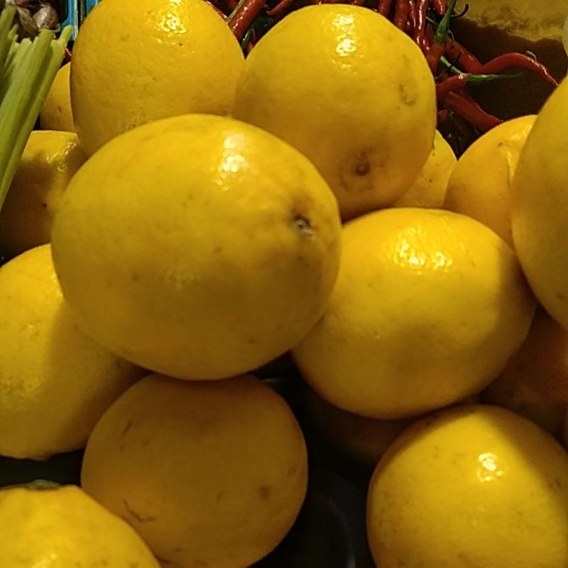 

Lemon impor jeruk lemon