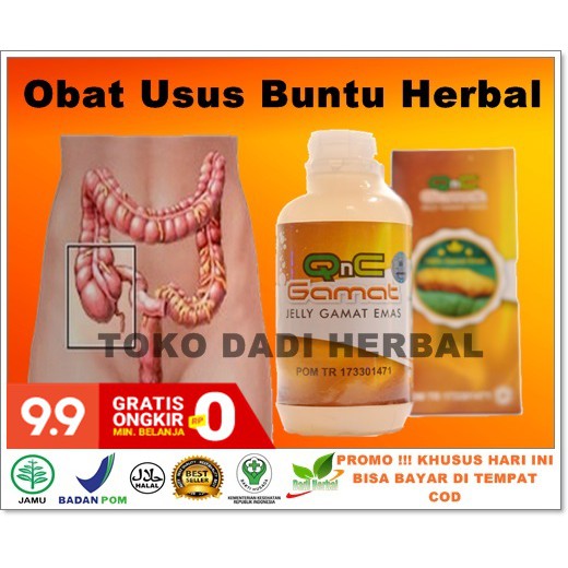 Obat Usus Buntu Herbal Radang Usus Kecil Besar Infeksi Usus Kram Usus Usus Bocor Kanker Usus Shopee Indonesia