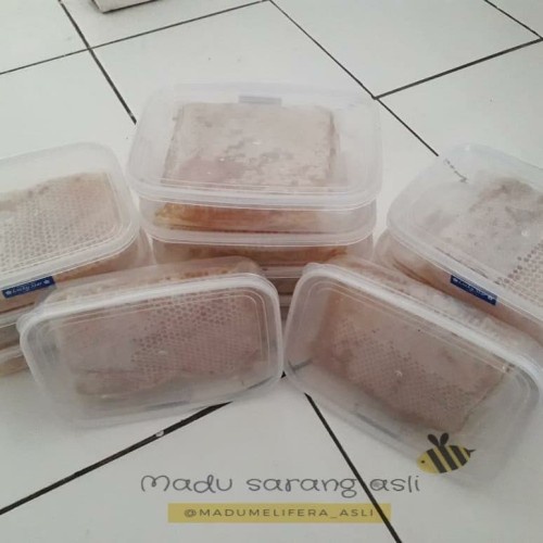 

MADU SARANG MELIFERA 500gr ASLI TERMURAH