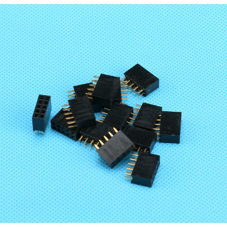 Header Female 2X5 Pin p 10P 2.54mm Double Row Straight Pin 2x5p 2 x 5