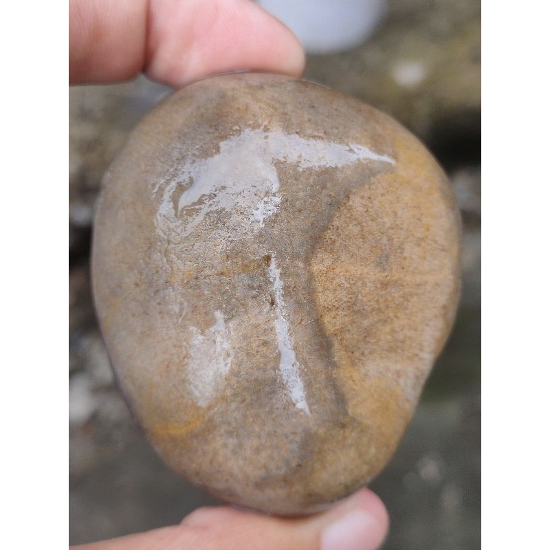 Batu Teratai Sarang Tawon Ujung Tanjung ( Rough / Bahan Batu Akik Fosil - bukan bacan opal giok )