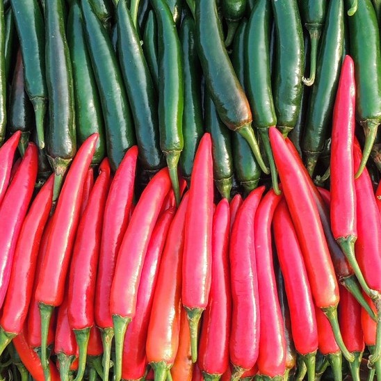 Benih Bibit Cabe Besar Baja Repack - Panah Merah Repack Berkualitas - Banuata