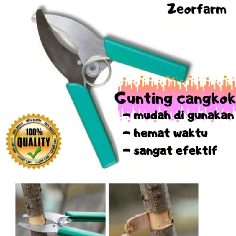 Gunting Cangkok Tanaman