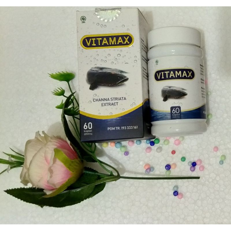 Kapsul Ikan gabus Vitamax mempercepat Pengeringan Luka Habis Operasi