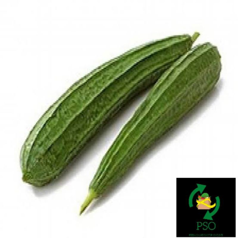 

SAYUR OYONG/500GR