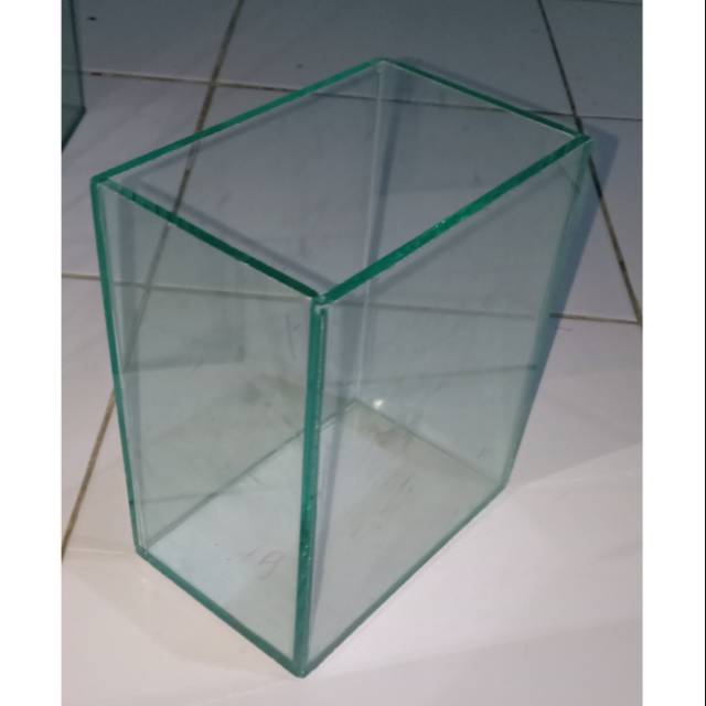 Aquarium cupang Guppy dan ikan kecil