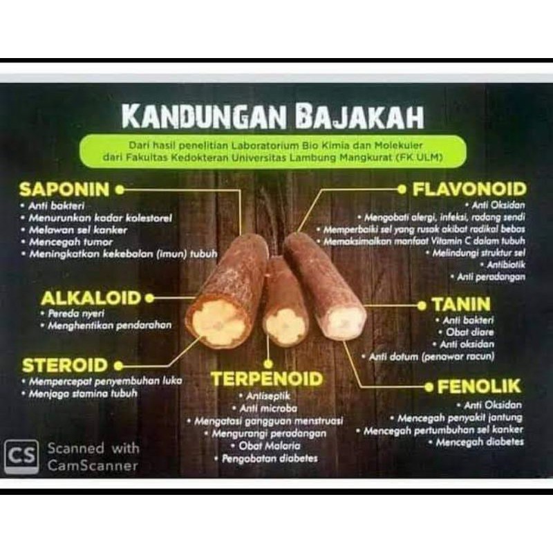 

AKAR BAJAKAH MERAH KALALAWIT ASLI KALIMANTAN 250GR