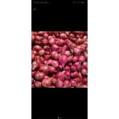 

bawang merah