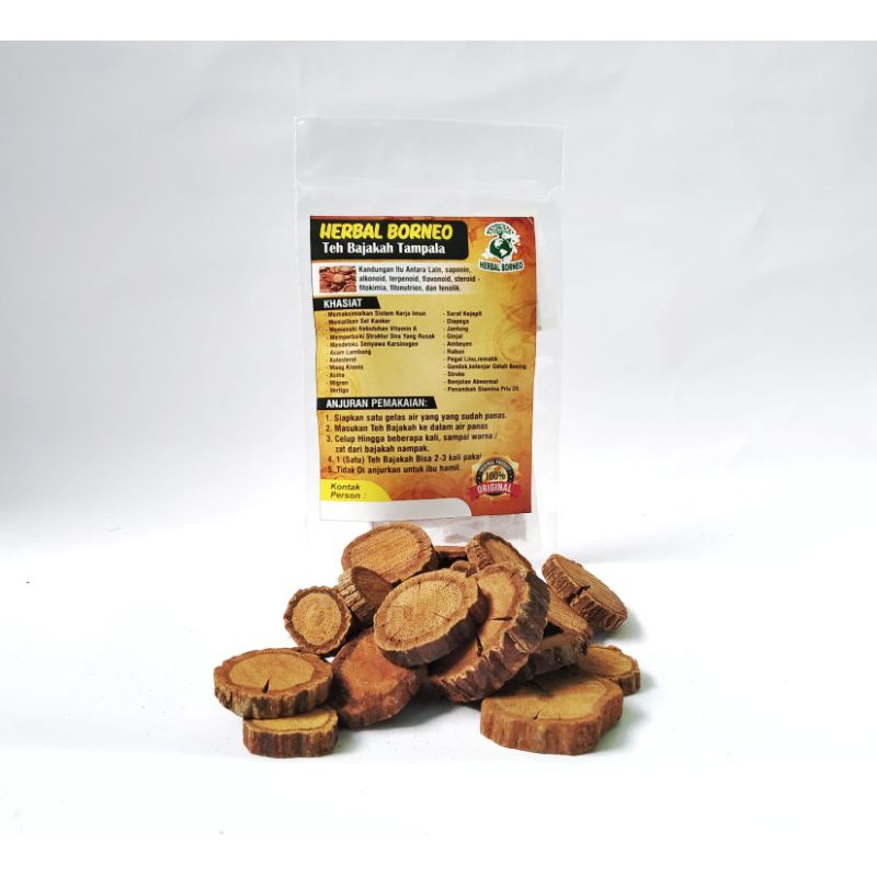 

Teh Bajakah Tampala 10 pcs Murah Orginal Herbal Borneo Kalimantan barat
