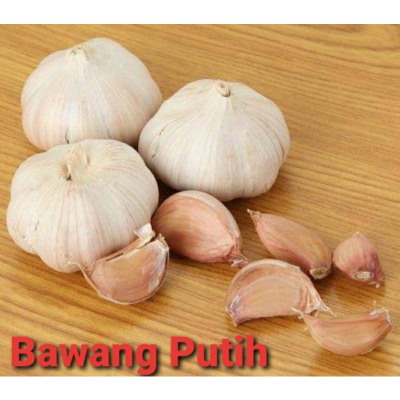 

Bawang Putih / Bawang Putih Kating / Bawang Putih Curah/ Garlic