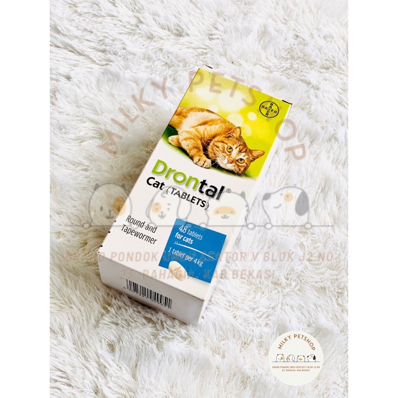 Drontal Cat DrontalCat Obat Cacing Kucing MURAH