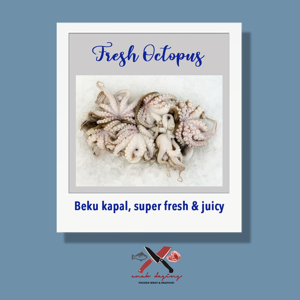 

Baby Octopus - Frozen Vacuum Pack / Baby Octopus Beku Kapal / Beku Fresh
