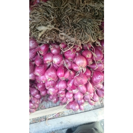 

bawang merah ASKIP 4 kg (1 ikat )