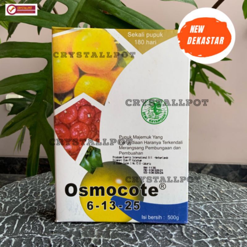 Pupuk penyubur buah dan bunga DEKASTAR 6-13-25  500gr(OSMOCOTE)